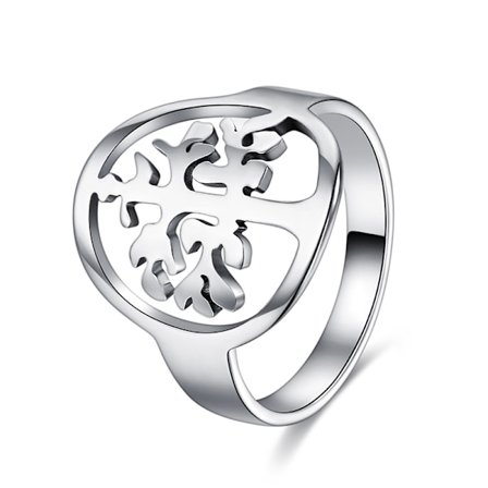 Rostfritt stål ring