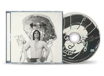 Every loser (alternative cover) Iggy Pop