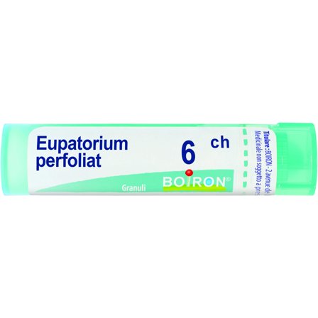 Boiron Eupatorium Perfoliatum 6Ch Tubo 80 Granuli 4g