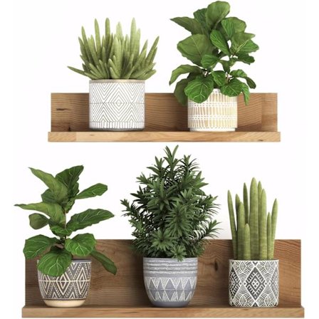 3D Avtakbar PVC Bonsai Veggdekor Kreativ Veggdekor Blomstrende Grønne Planter Bonsai Tre Veggdekaler Tropisk Plante Veggdekor Dekaler for Stue R