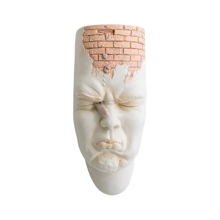 Varme produkter - veggplanter - ansiktsveggplanter for innendørs og utendørs planter, veggvase for blomster, veggmontert ansiktsblomsterpotte uten 