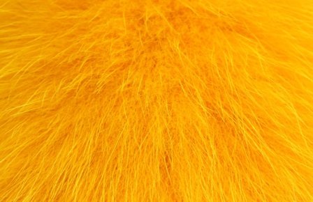 Shadow Fox - Golden Carrot