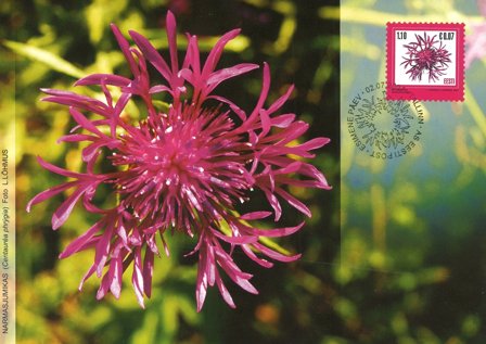 Estland 2007 - FDC - LAPE nr. 589