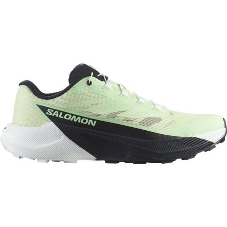 Salomon - Trailrunning-Schuhe Damen Pulsar - Patina Green / White / Black - 42