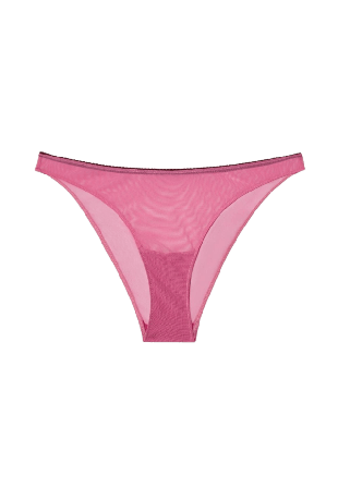 Understatement Mesh Bikini Briefs Trosor Dam Rosa L