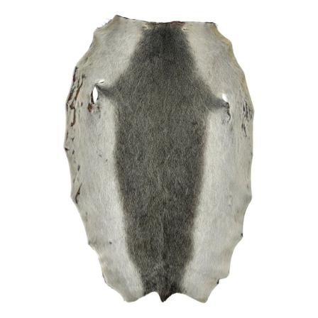 Levinsky Seal Blueback Grey/Nature - Dressed Fur Skin - Fur Grå, Dame, Størrelse: ONE Size