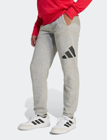 adidas Sportswear J Bl Ft Pt 280 - Grey - 128