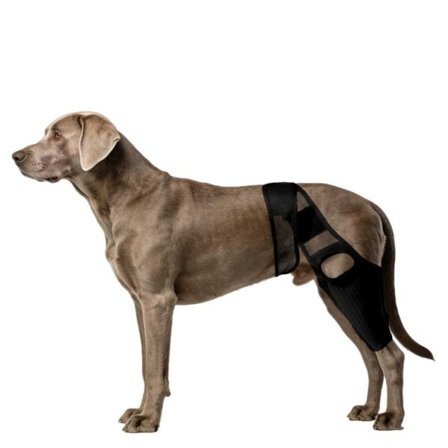 Åndbar Mesh Benstøtte til Kæledyr - Knæbeskytter til Bagben for Hunde, til Skadesrestitution, Kompatibel med diverse mær