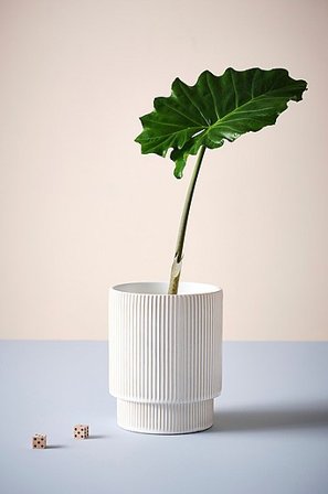 Jotex - Jo Kruka ø 21 Cm Naturvit RUBY - Köp Krukor hos Jotex