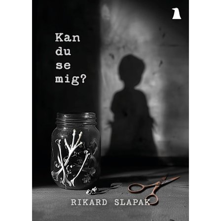 Kan du se mig? 9789189916227