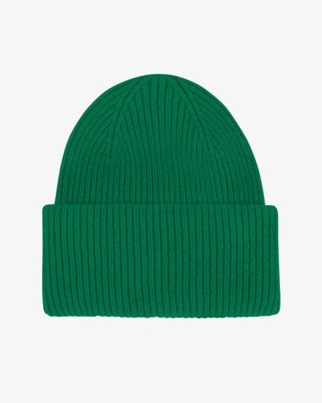 Merino Wool Hat - Kelly Green - Female - One Size