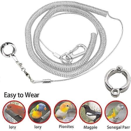 Ankelkjede for kjæledyrfugl, Papegøyefotlenke 3M Ultralett Papegøye Fugl Sele Bånd Anti-bitt Utendørs Flytrening Tau Kjæledyrutstyr fo