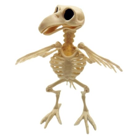Halloween Movable Skeleton Animal Fake Skeleton CROW CROW