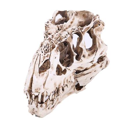Tyrannosaurus Rex Dödskallefigur Halloween 1 Stycke Vit