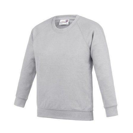 Awdis Barn/Barn Akademi Raglan Sweatshirt S Grå