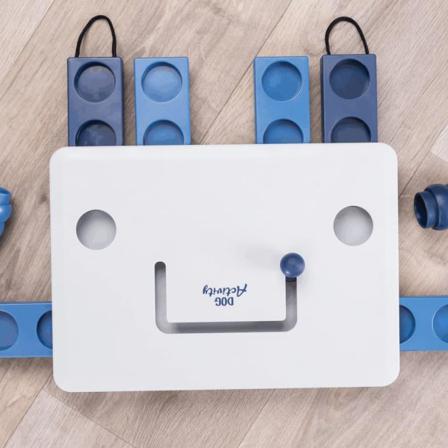 Trixie Strategispel För Hundar Move2win 34x13x6 Cm 32025 Multifärg