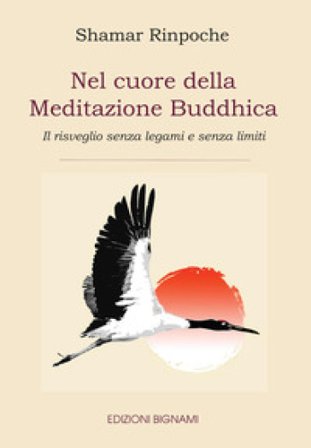 Nel cuore della meditazione buddhica. Il risveglio senza legami e senza limiti Shamar Rinpoche