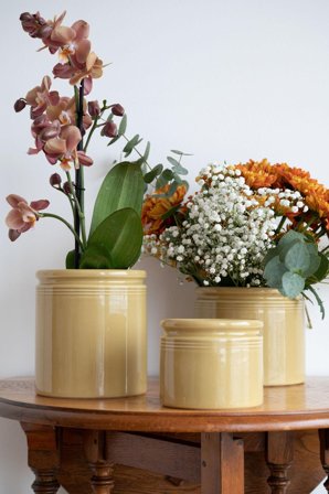 UND Legacy Krukke Sennep H10