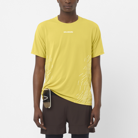 Salomon - T-shirty Odzież Sense Aero Ss Tee Gfx M - Cress Green / Whisper White