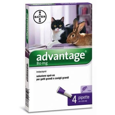 Advantage Spot On 4 Pipette 0,8ml Antiparassitario Gatti/Conigli