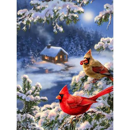 Vinter diamantmaleri kit, fugl diamant kunst kit fuld runde diamanter til voksne, gave diamant maling, vægdekoration