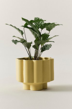 Jotex - Solid Potte Gul - SIGFRID - Kjøp Krukker hos Jotex