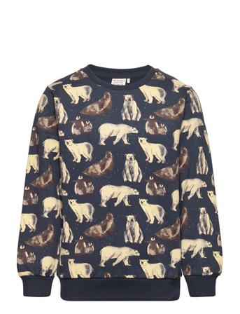 Sweatshirt Ls Aop Sweatshirt Trøje Multi/mønstret Minymo