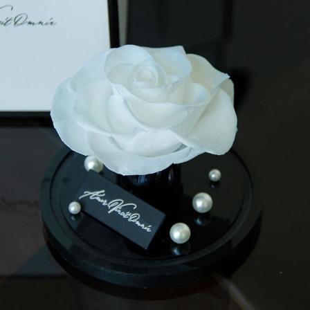 Vacker evighetsros i presentförpackning - En symbol för kärlek som aldrig bleknar, perfekt för mors dag, födelsedagar och andra speciella presentidéer