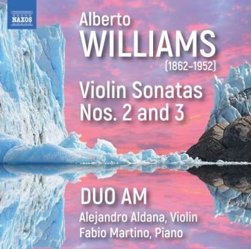 Violin sonatas nos. 2 and 3 Duo Am