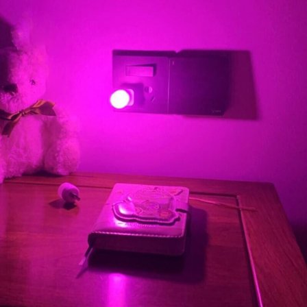 Mini USB Nattlys Liten LED-pære ROSA LYS ROSA LYS
