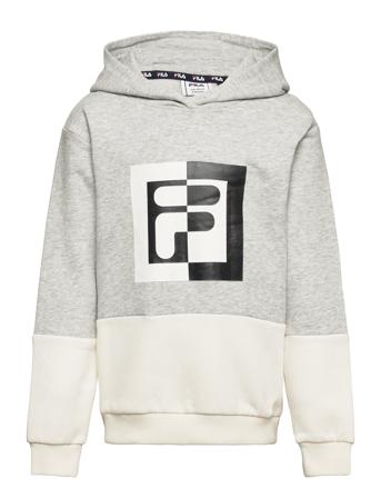 Brunflo Hoody Huppari Harmaa FILA