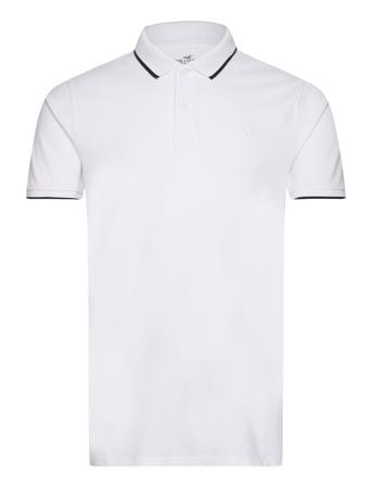 Hco. Guys Knits White Hollister