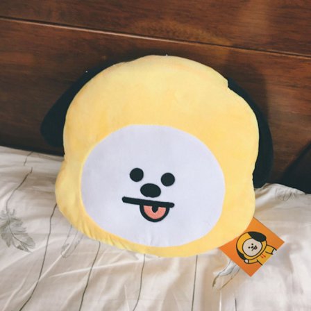 Bts Bt21 Tata Shooky Rj Pehmolelu Suga Cooky Tyynynukke