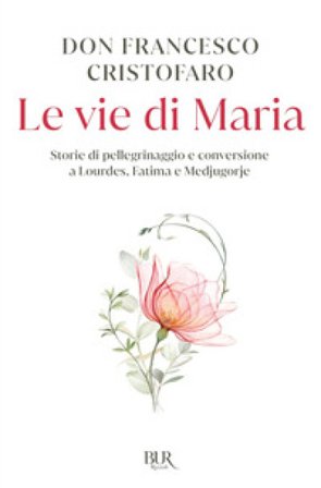 Le vie di Maria. Storie di pellegrinaggio e conversione a Lourdes, Fatima e Medjugorje Francesco (don) Cristofaro