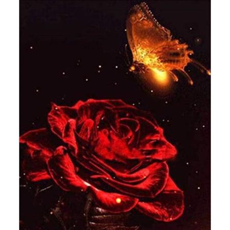 DIY 5D Butterfly og Rød Rose Diamantmalerisett, Rund Full Drill Broderi Krysssting Kunst Håndverk Lerret Forsyning for Hjem Veggdekor Voksne og Barn 