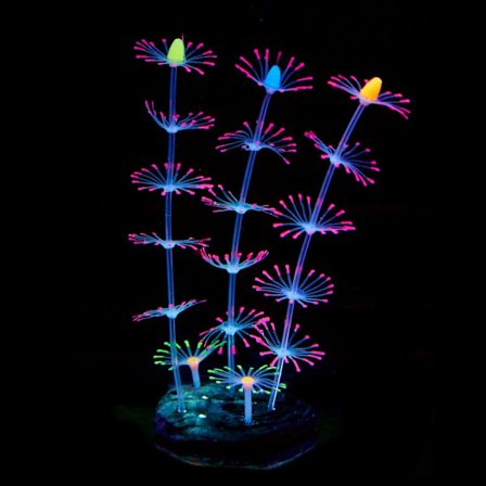 Strip Coral Plant Ornament Glowing Effect Silicone Pink KLB