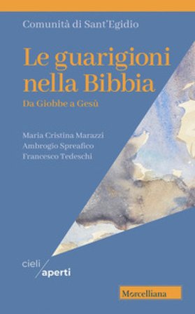Le guarigioni nella Bibbia. Da Giobbe a Gesù Maria Cristina Marazzi