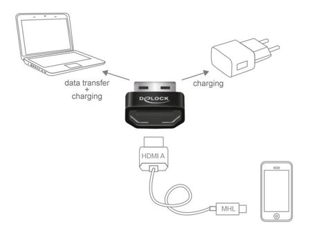 Delock video adapter