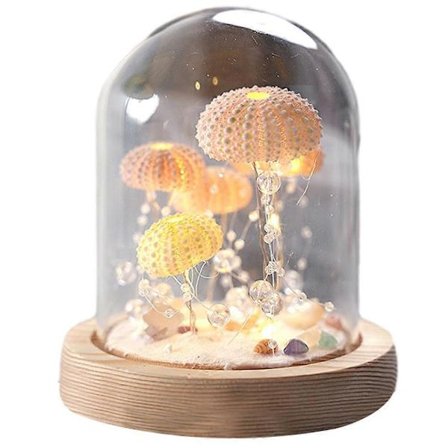 Søpindsvin Skal Vandmand Natlampe DIY Materialesæt Multifunktionel Stilfuld Bordlampe til Værelse Soveværelse