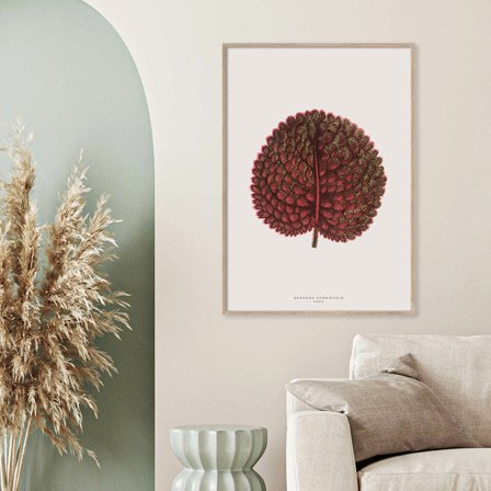 Gesnera Exoniensis — Plakat med flot illustration af plante fra Nature Remixed by Gehalt