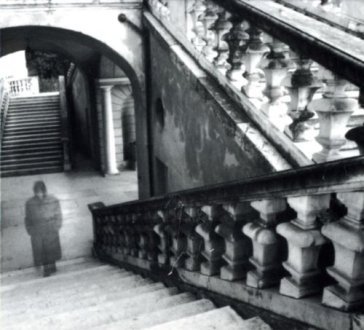 Trinkle trio Paolo Sorge