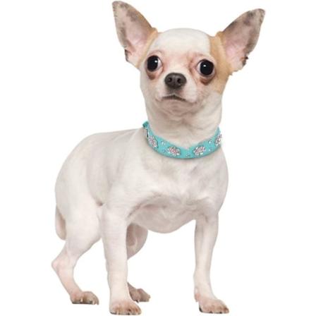 Tekonahkainen koiranpanta, jossa koristekiviä ja kukkia - Säädettävä