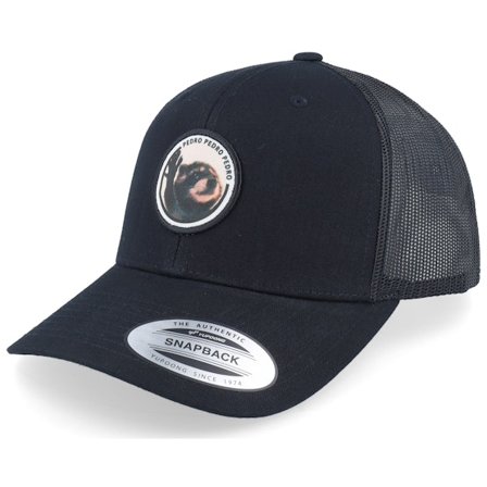 Scenes - Svart trucker Caps - Raccoon Pedro Round Patch Black Trucker @ Hatstore