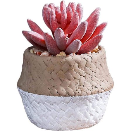 Keinotekoinen kaktus mehikasveille, pienet mehikasvit, kodin sisustus