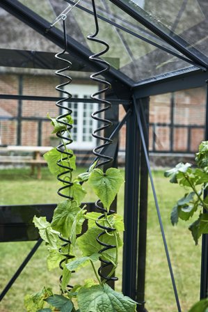 Juliana F04905 Växtspiral 3-pack, Växthus & orangerier