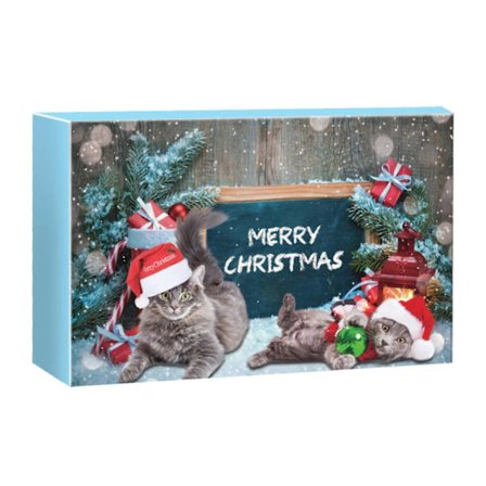 Adventskalender för katter 24 dagar Leksaks- och godis-set Interaktiva kattmyntaleksaker