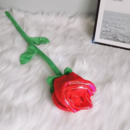 2st Rose Blomma Gardin Spänne ROSE RÖD rose red deep red