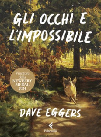 Gli occhi e l'impossibile. Ediz. a colori Dave Eggers