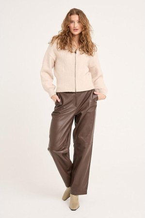 Shane leather pants 36