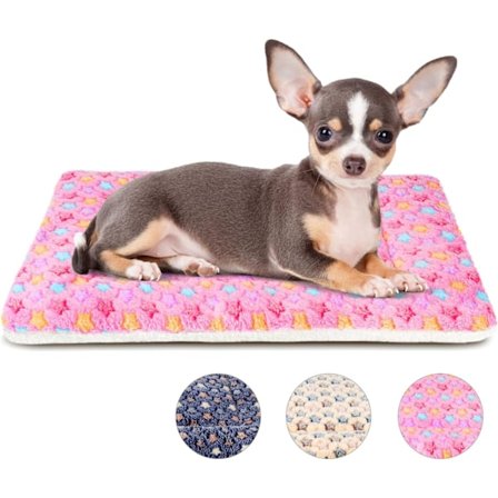 Hundesengsmåtte Lille Vaskbar Hundekurv Madras til Bur Blød Flad Kæledyrshynde Sengelinned Hvalpepude Tæppe til Katte Hvalpe Hunde